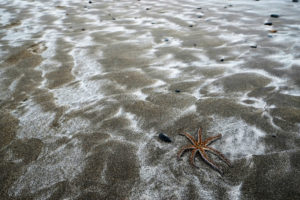 Sur le sable...